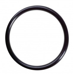 O-Ring Darkbuster для фонаря LED 5D/R