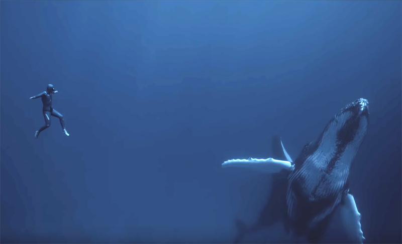 Чемпионы мира по фридайвингу