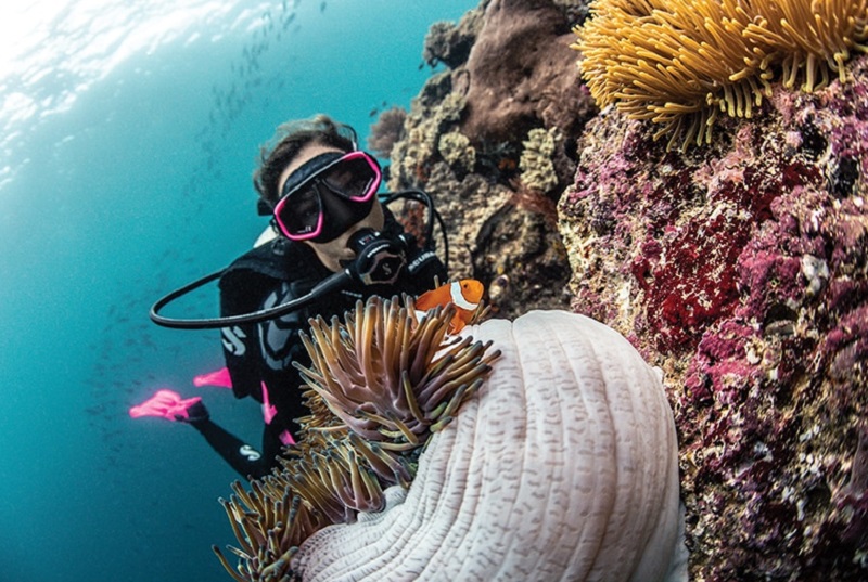 Основы подводной фотографии: советы для новичков