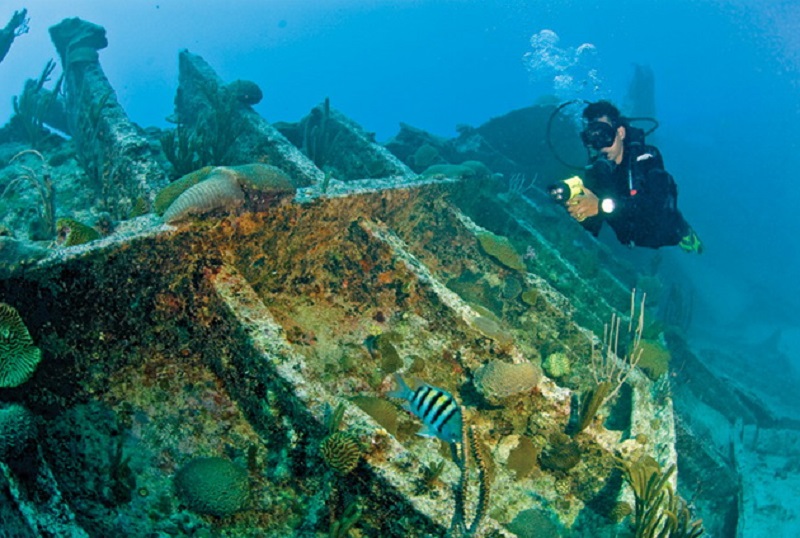 Подводные скульптуры и искусственные рифы