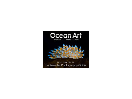 Конкурс подводной фотографии Ocean Art Photo Competition 2011.