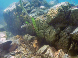 Подводный музей планируется построить на озере Титикака