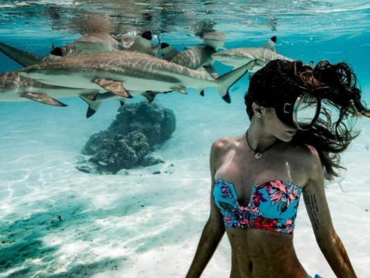 Девушка рискнула поплавать с акулами ради красивых фото