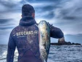 Как выбрать снаряжение Beuchat для подводной охоты