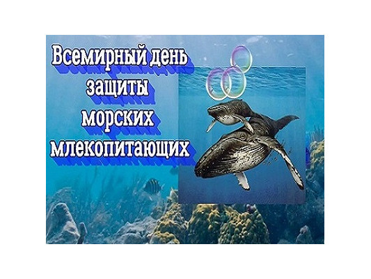19 февраля - всемирный день защиты морских млекопитающих
