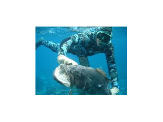 Лучшие места для подводной охоты на Черном море