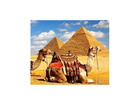 Дайвінг тури в Єгипті