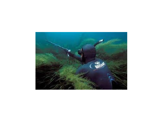 Мифы и реальность подводной охоты
