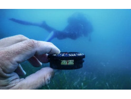 Подводная ориентация: как не потеряться под водой