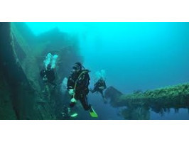 Сохранение подводного мира: как дайверы могут помочь
