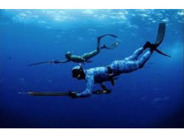 Подводная охота на ракообразных: особенности охоты и обработки добычи