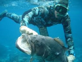 Подводная охота на крупных хищников: безопасные методы и тактика