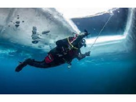 Подводное фотосафари: экспедиции для фотографов в разные регионы мира