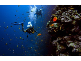 Подводная антропология: изучение морских обществ и культур под водой