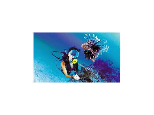 Оборудование для специальных видов дайвинга