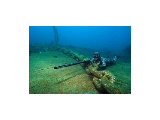 Як вибрати перше спорядження для підводного полювання