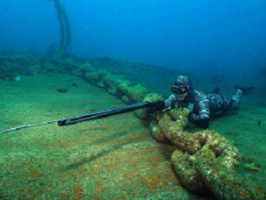 Де в Європі дозволено підводне полювання