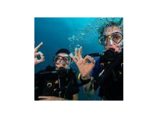 Морський дайвінг із дельфінами