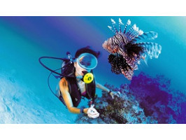 Какие самые красивые рифы в мире