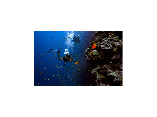 Як вибрати перший гідрокостюм