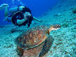 Что происходит в организме при сатурационном дайвинге