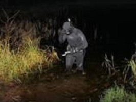 Підводне полювання вночі