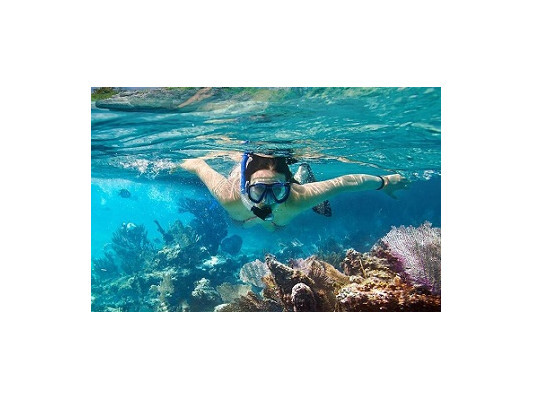 Необходимый набор снаряжения для снорклинга