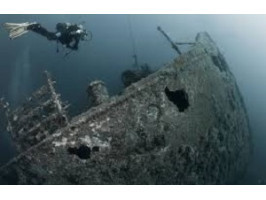 Где в Адриатическом море хороший дайвинг