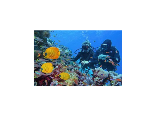 Что лучше: снорклинг или дайвинг