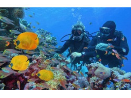 Что лучше: снорклинг или дайвинг