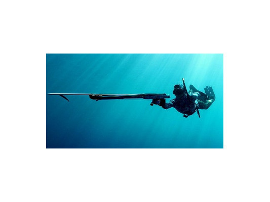 Як вибрати першу рушницю для підводного полювання