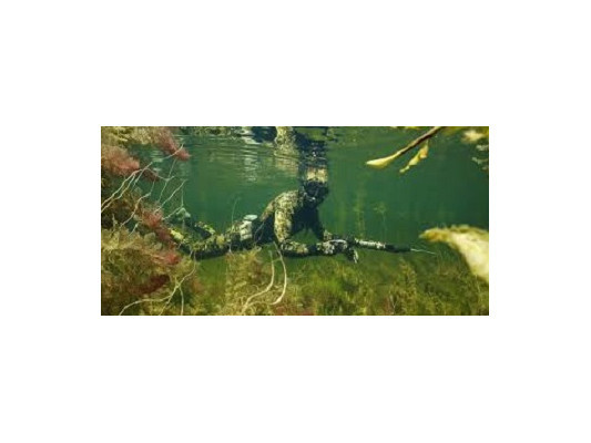 Какие делают ошибки новички при занятии подводной охотой