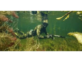 Какие делают ошибки новички при занятии подводной охотой