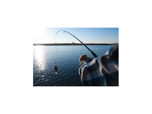 Чим відрізняється підводне полювання від риболовлі