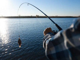 Чим відрізняється підводне полювання від риболовлі