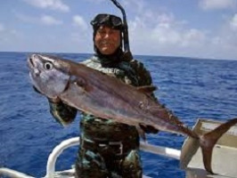 Підводне полювання в Індонезії