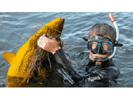 Обзор лучших масок для подводной охоты 2026