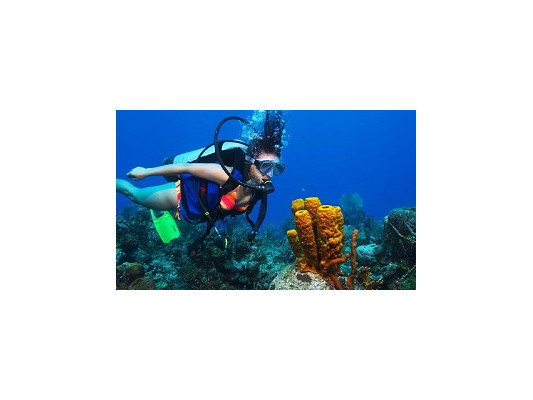 Дайвінг у Карибському морі