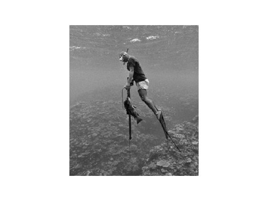 Огляд найкращих ласт для підводного полювання 2026 року