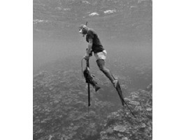 Огляд найкращих ласт для підводного полювання 2026 року