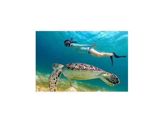 Обзор лучших масок для снорклинга 2026 года