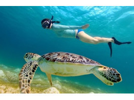 Огляд кращих масок для снорклінга 2026 року