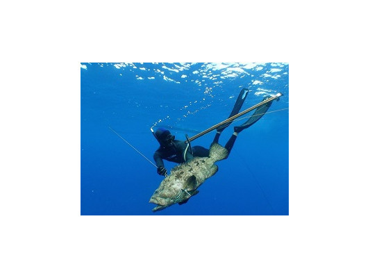 Обзор подводной охоты на Бали