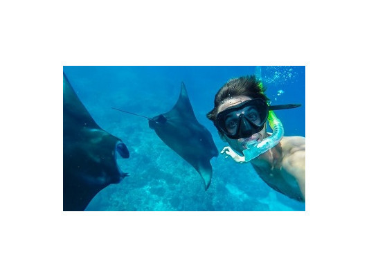 Обзор снорклинга в Индонезии