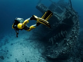 Какие лучше ласты выбрать под определенный вид дайвинга