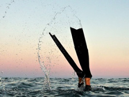 Какие ласты выбрать под определенный вид подводной охоты