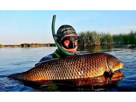 Рекорды подводной охоты