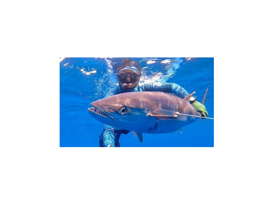 Подводная охота на крупную пелагическую рыбу