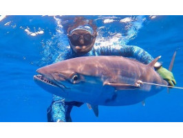 Підводне полювання на велику пелагічну рибу