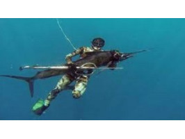 Підводне полювання на Філіппінах